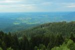 2014-07-05_Laengental-N-Hochweg (913). JPG
